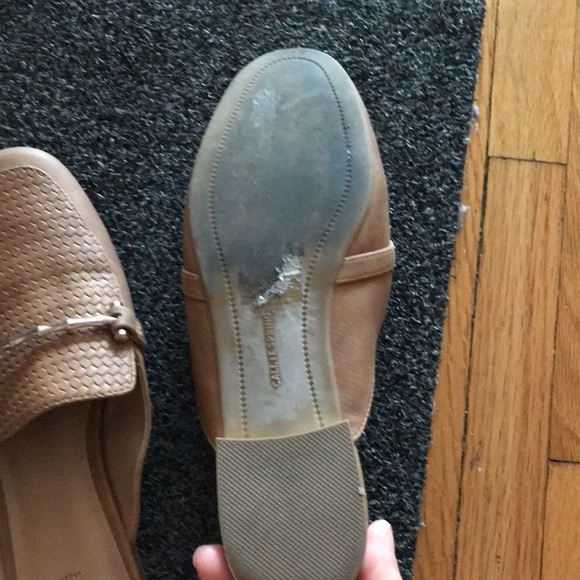 Call it spring mule - Picture 2 of 3